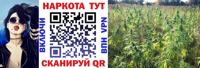 Купить Кокаин  А ПВП  Гашиш  Мефедрон  Ардон