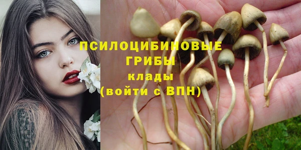 гашиш Аркадак